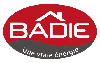 logo badie